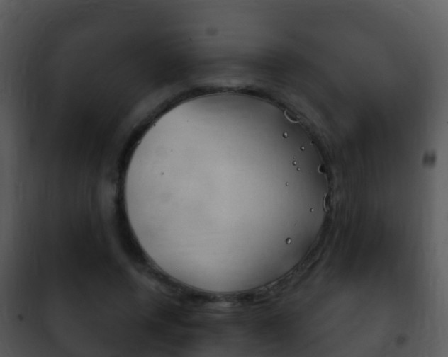 X0000101970544200807180729