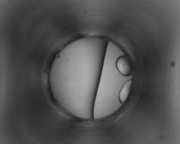 X0000101970545200807180729