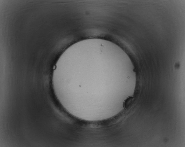 X0000101970546200807180729