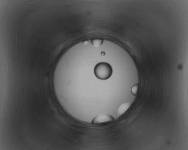 X0000101970547200807180729