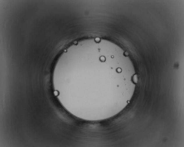 X0000101970548200807180729