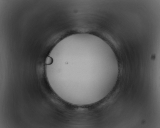 X0000101970549200807180729
