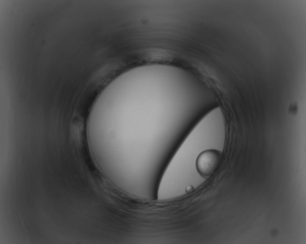 X0000101970550200807180729
