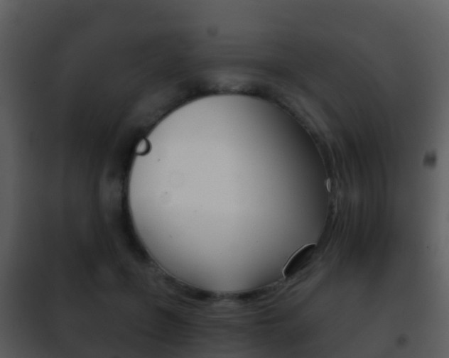 X0000101970551200807180729