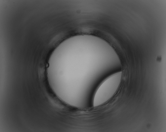 X0000101970552200807180729