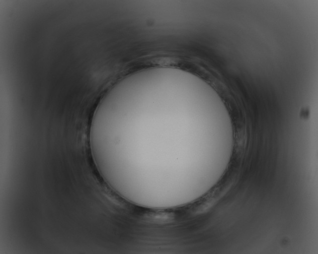 X0000101970553200807180729