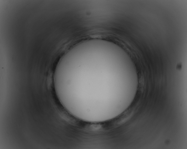 X0000101970554200807180729