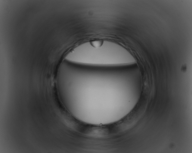 X0000101970555200807180729