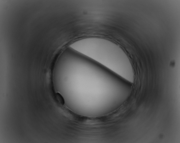 X0000101970556200807180729