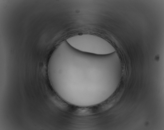 X0000101970557200807180729