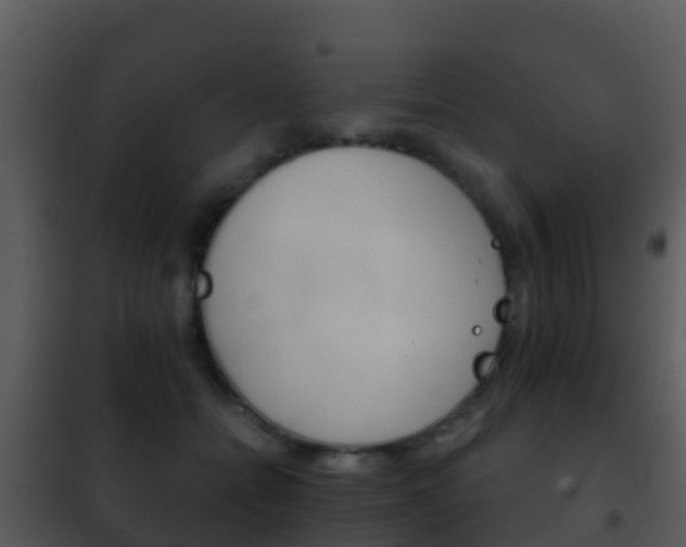X0000101970558200807180729