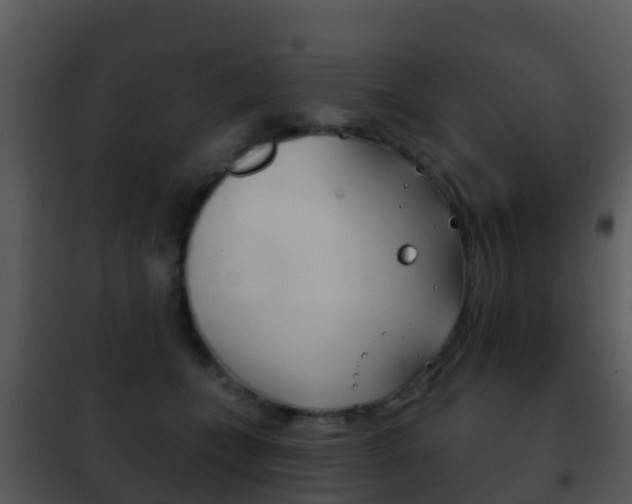 X0000101970559200807180729