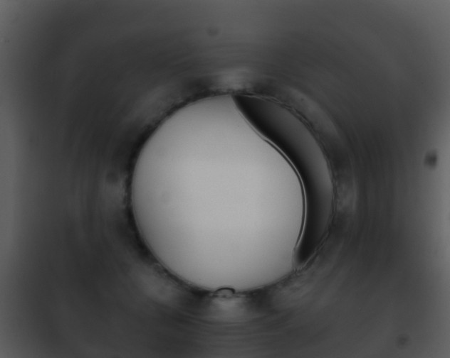 X0000101970560200807180729