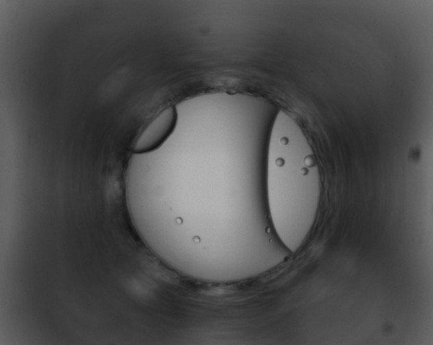 X0000101970561200807180729