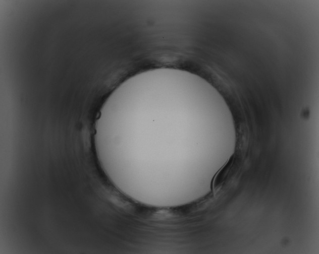 X0000101970562200807180729