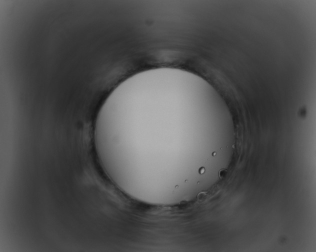 X0000101970563200807180729