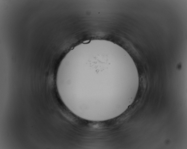 X0000101970564200807180729