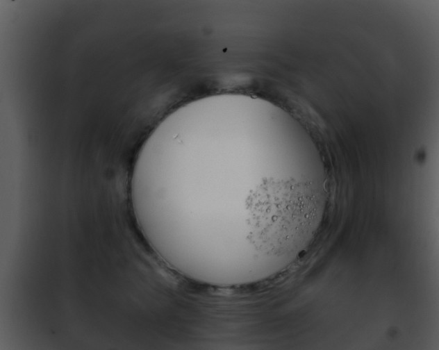 X0000101970565200807180729