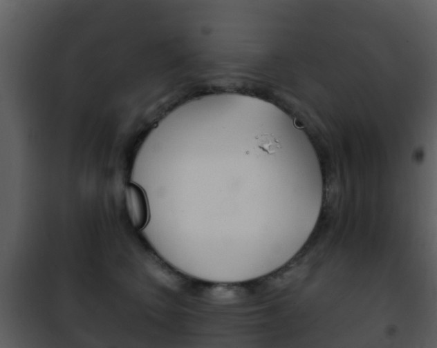 X0000101970566200807180729