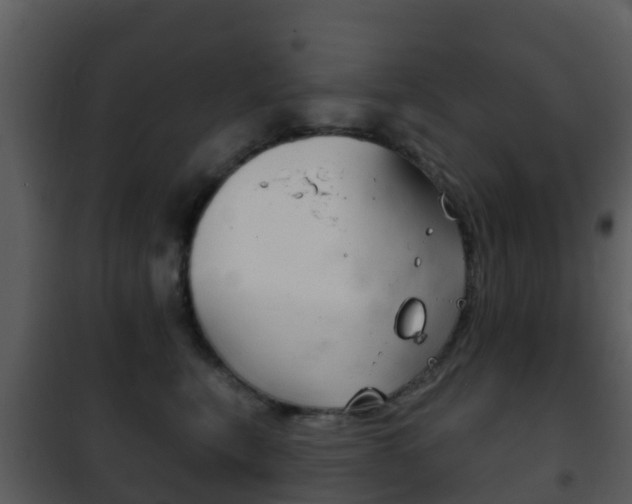 X0000101970567200807180729