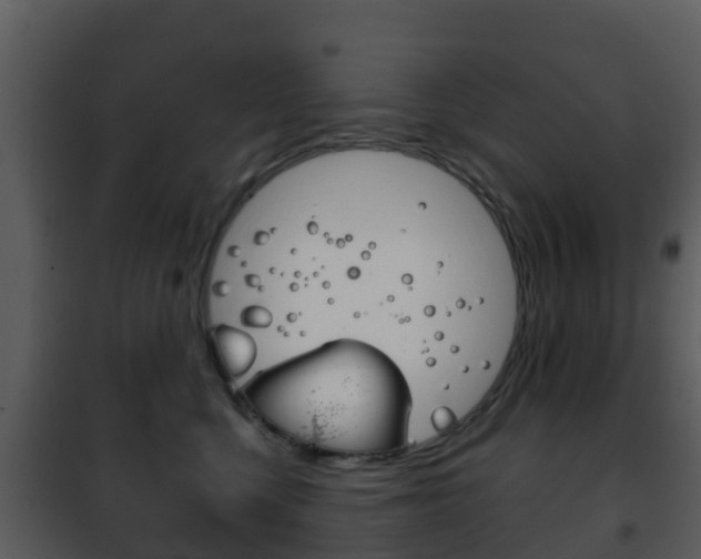 X0000101970568200807180729