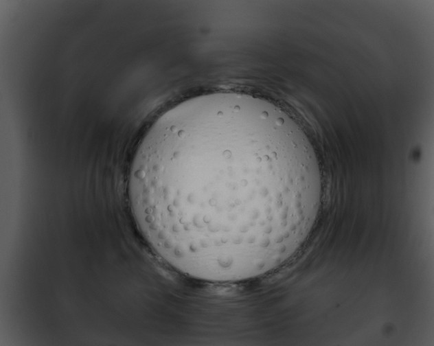 X0000101970569200807180729