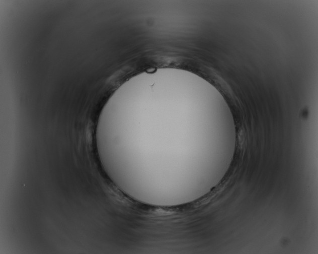 X0000101970570200807180729