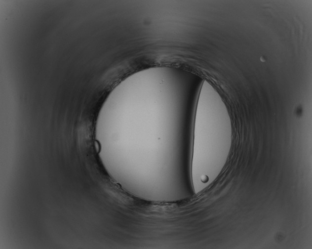 X0000101970571200807180729