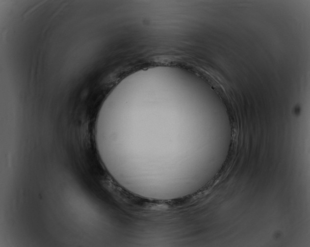 X0000101970572200807180729