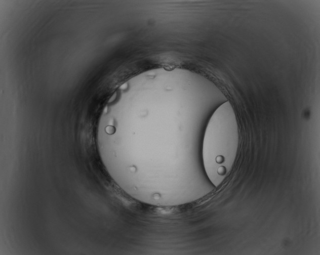 X0000101970573200807180729