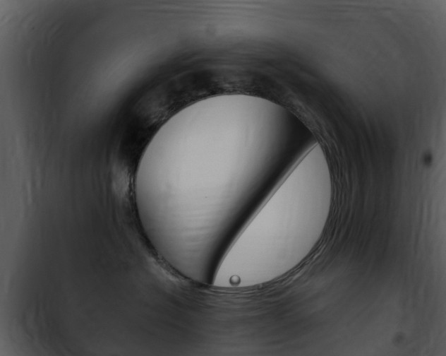 X0000101970574200807180729