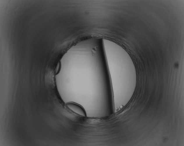 X0000101970575200807180729