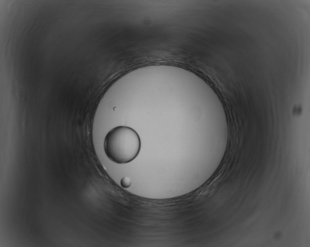 X0000101970576200807180729
