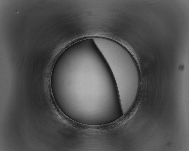X0000101970577200807180729