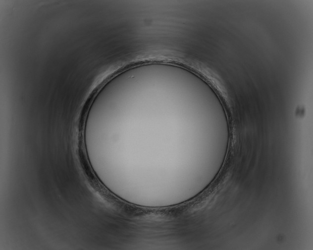 X0000101970578200807180729