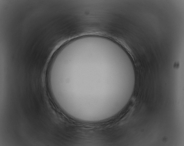 X0000101970579200807180729