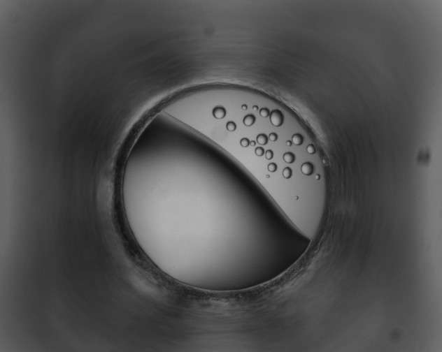 X0000101970580200807180729