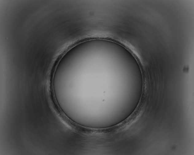 X0000101970581200807180729