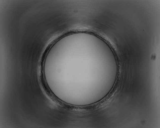 X0000101970582200807180729