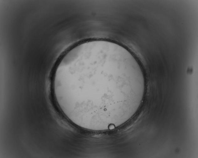 X0000101970584200807180728