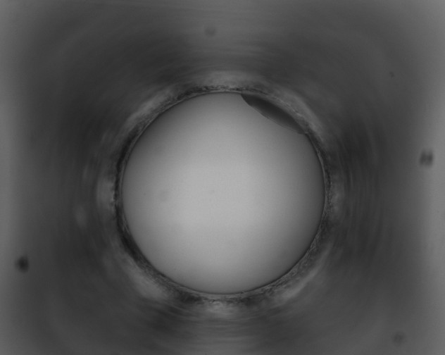 X0000101970585200807180728