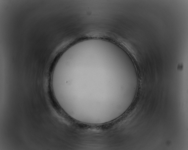X0000101970586200807180728