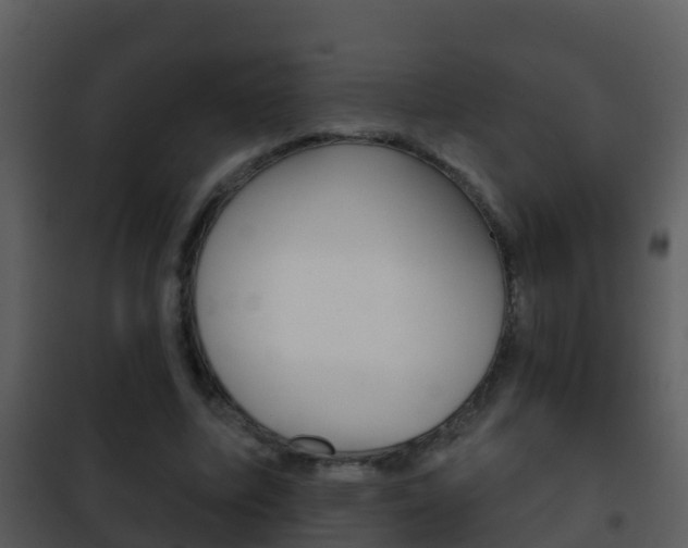 X0000101970587200807180728