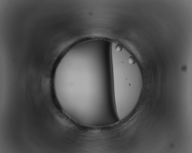 X0000101970588200807180728