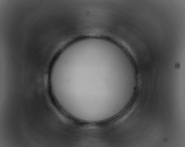X0000101970589200807180728
