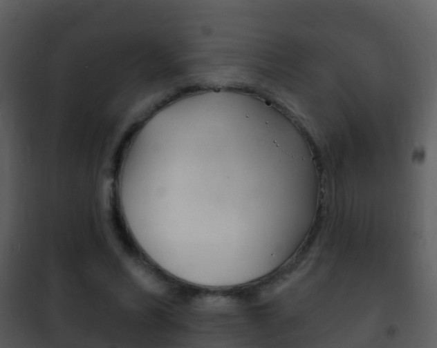 X0000101970590200807180728