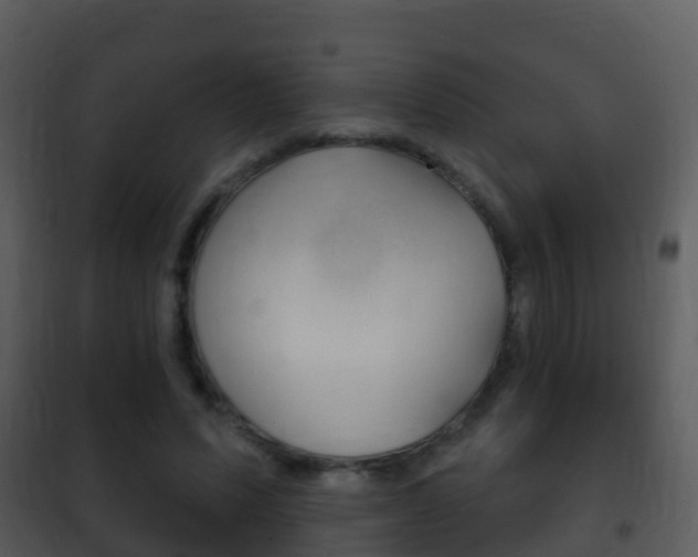 X0000101970591200807180728