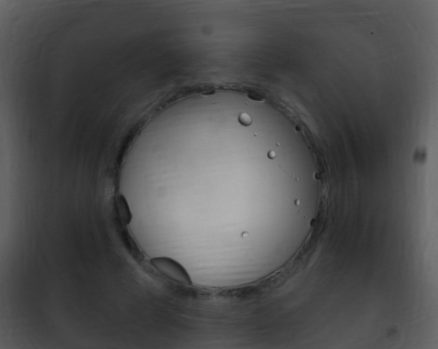 X0000101970593200807180728