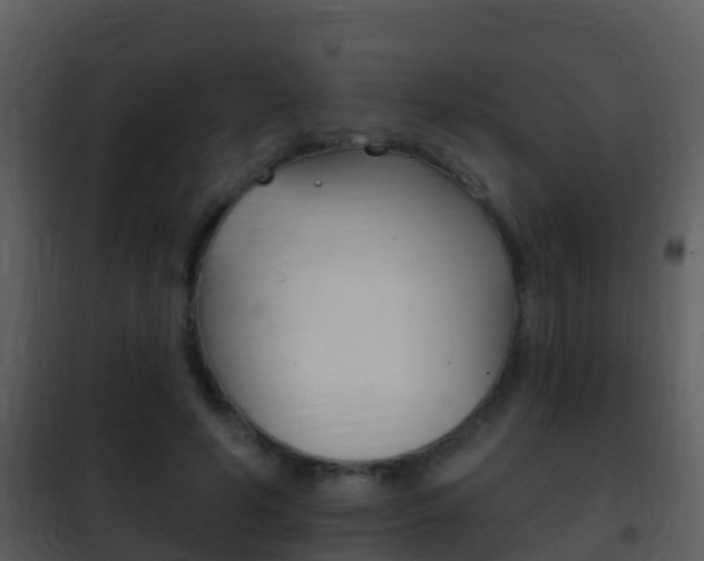 X0000101970594200807180728