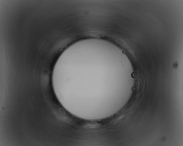 X0000101970595200807180728